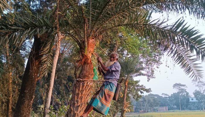 ঐতিহ্যবাহী খেজুরের রস প্রায় বিলুপ্তির পথে!