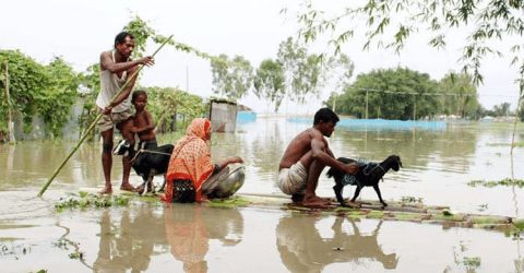 সারাদেশে বন্যায় মৃত্যু বেড়ে ৮৪