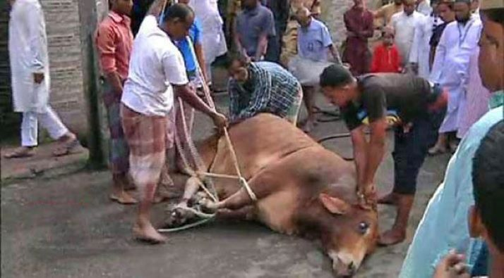 ঈদের দ্বিতীয় দিনেও রাজধানীতে পশু কোরবানি