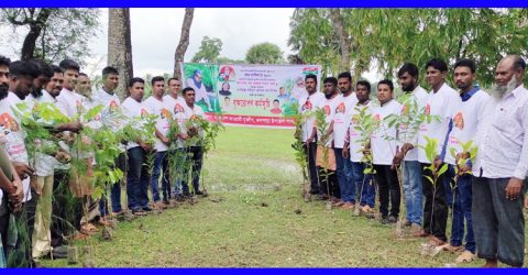 কলাপাড়ায় যুবলীগের উদ্যোগে বৃক্ষরোপন কর্মসূচী