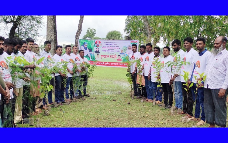 কলাপাড়ায় যুবলীগের উদ্যোগে বৃক্ষরোপন কর্মসূচী