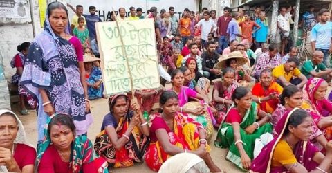 প্রধানমন্ত্রী সঙ্গে চা বাগান মালিকদের সভা শনিবার