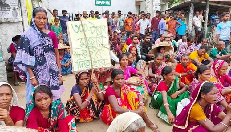 প্রধানমন্ত্রী সঙ্গে চা বাগান মালিকদের সভা শনিবার