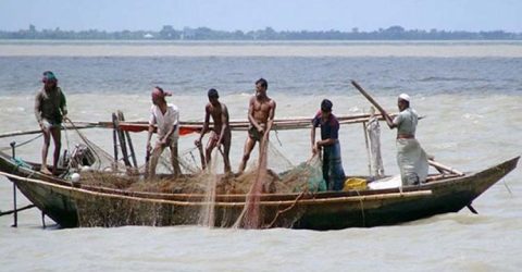 ভরা মৌসুমেও নদীতে মিলছে না কাঙ্ক্ষিত ইলিশের দেখা নেই