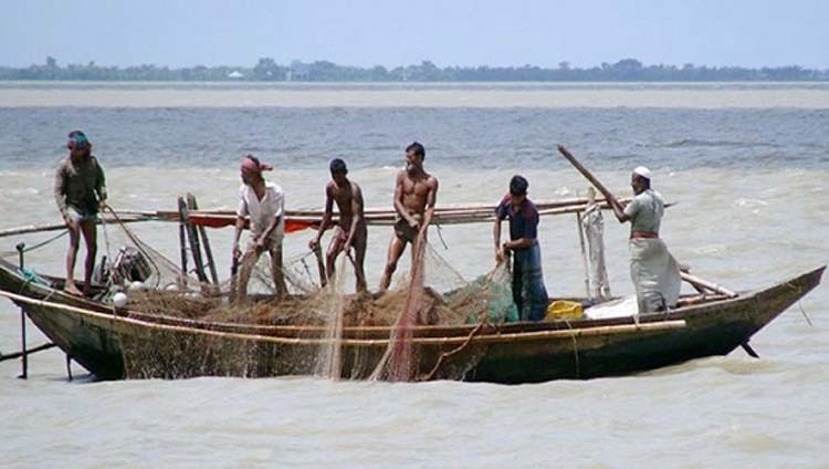 আজ মধ্যরাত থেকে ইলিশ শিকার নিষিদ্ধ