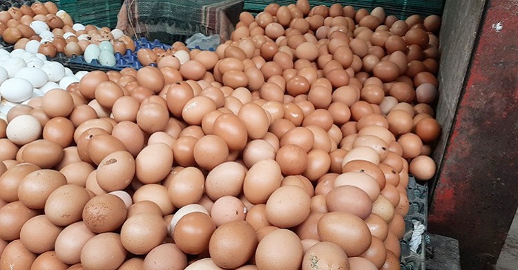 রাজধানীর বাজারগুলোতে ডজনে ১০ টাকা বেড়েছে ডিমের দাম