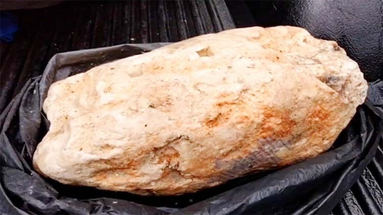 ভারতে ১১ কোটি ৯০ লাখ টাকার ‘তিমির বমি’ জব্দ, আটক ৪