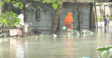 বাড়েছ তিস্তার পানি, পানিবন্দি চার হাজার পরিবার