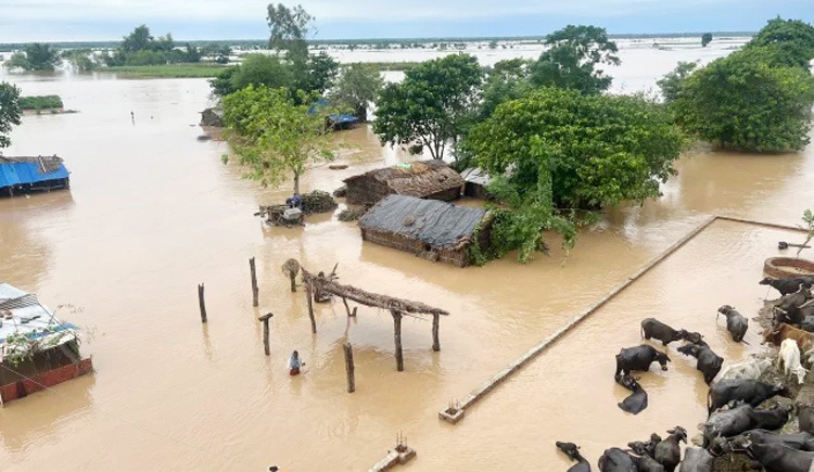 নেপালে বন্যা ও ভূমিধসে ৩৩ জনের মৃত্যু