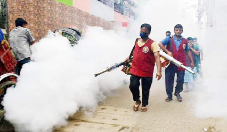 ডেঙ্গু : ডিএসসিসিতে কাল থেকে মশা নিধনের অভিযান শুরু