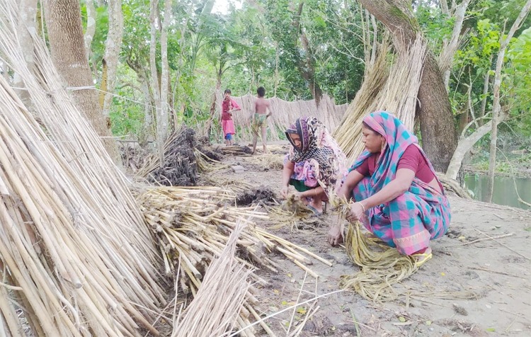 ধীরে ধীরে হারিয়ে যাচ্ছে সোনালী আঁশ পাট