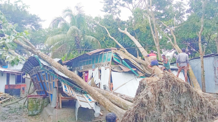 দেশের ১৬ জেলায় ঘূর্ণিঝড় সিত্রাংয়ে অন্তত ৩৫ প্রাণহানি
