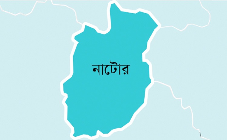 নাটোরের সিংড়ায় দুই গ্রুপের সংঘর্ষে গুলিবিদ্ধ ১২