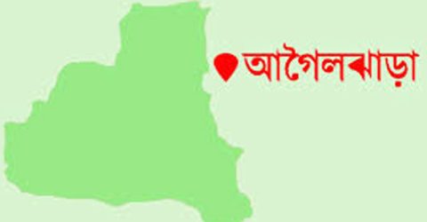 বরিশালের আগৈলঝাড়ায় গাঁজাসহ আটক ১