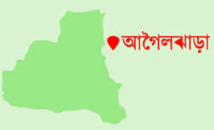 বরিশালের আগৈলঝাড়ায় গাঁজাসহ আটক ১