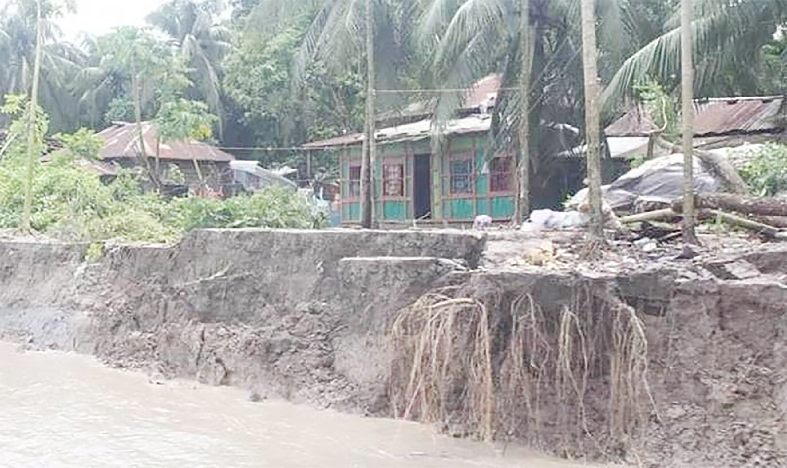 বরিশালের গৌরনদীতে নদী ভাঙন আতঙ্কে অর্ধশত পরিবার