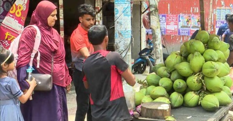 সারাদেশের মতো বরিশালেও বেড়েছে ডাবের দাম