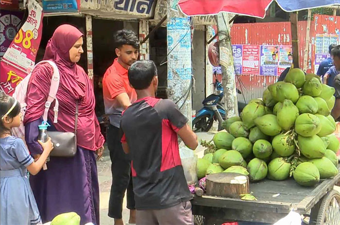 সারাদেশের মতো বরিশালেও বেড়েছে ডাবের দাম