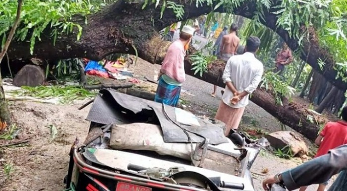 বরিশালে চলন্ত গাড়িতে গাছ পড়ে শিক্ষক নিহত, আহত ৪