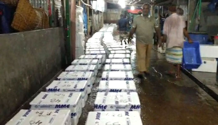 বরিশাল থেকে ১৯টন ইলিশ গেলো ভারতে