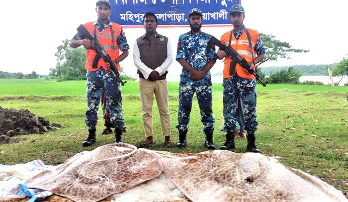 পটুয়াখালীর কলাপাড়ায় ৫০০ কেজি নিষিদ্ধ শাপলা পাতা মাছ জব্দ