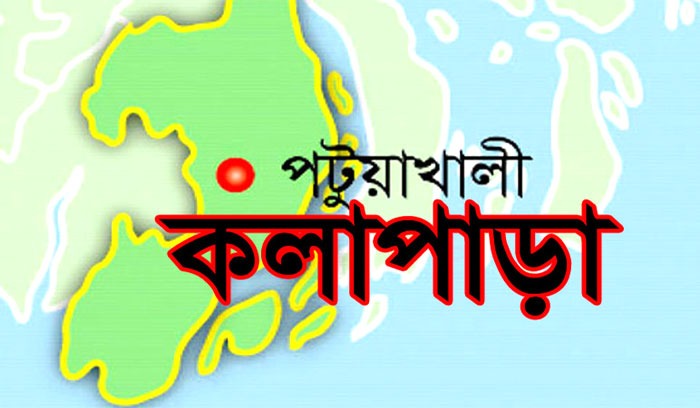 পটুয়াখালীর কলাপাড়ায় পুকুরে ডুবে এক শিশুর মৃত্যু