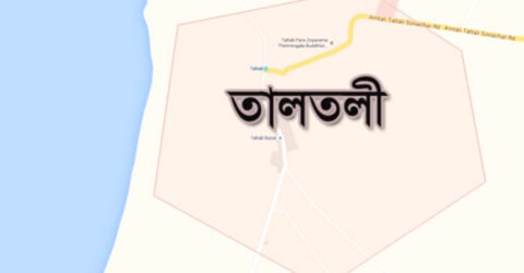 বরগুনার তালতলীতে পানিতে ডুবে শিশুর মৃত্যু