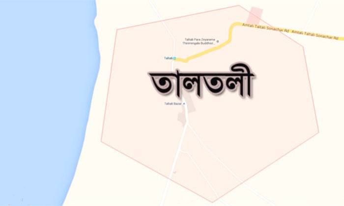 বরগুনার তালতলীতে পানিতে ডুবে শিশুর মৃত্যু