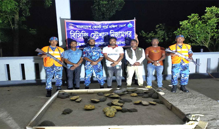 পটুয়াখালীতে কোস্টগার্ডের অভিযানে ৬২ কচ্ছপ উদ্ধার