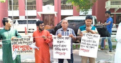 মা ইলিশ রক্ষাসহ অবৈধ জাল বন্ধের দাবিতে বরিশালে মানববন্ধন অনুষ্ঠিত