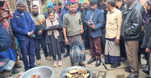 বরিশালের আগৈলঝাড়ায় প্রকাশ্যে কচ্ছপ বিক্রি, ব্যবসায়ীর ২ মাসের কারাদণ্ড