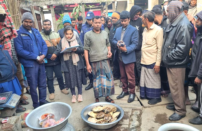 বরিশালের আগৈলঝাড়ায় প্রকাশ্যে কচ্ছপ বিক্রি, ব্যবসায়ীর ২ মাসের কারাদণ্ড