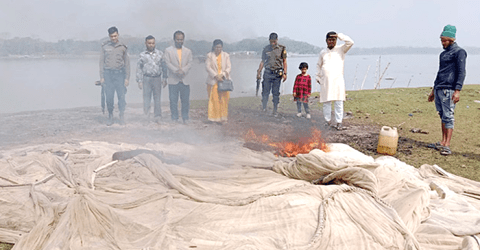 বরিশালে যৌথ অভিযানে ৩৫ মণ জাটকাসহ জাল জব্দ