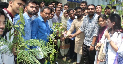 বরিশাল শের-ই- বাংলা মেডিকেল কলেজ ছাত্রলীগের উদ্যোগে বৃক্ষরোপণ কর্মসূচী পালন