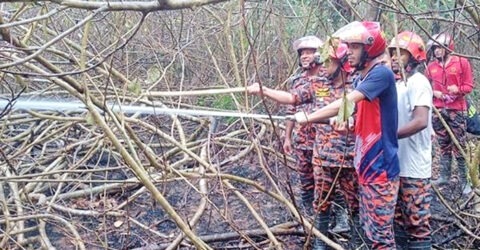 টানা তিনদিন পর নিয়ন্ত্রণে এসেছে সুন্দরবনের আগুন