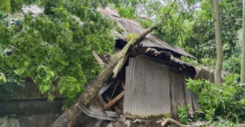 ঘূর্ণিঝড় রিমাল: বরিশালে পৌনে ২ লাখ কৃষক পরিবার ক্ষতিগ্রস্ত