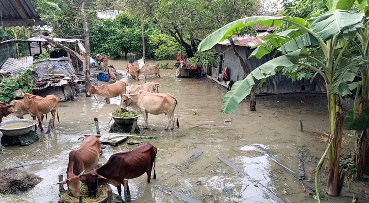 ভোলায় পানিবন্দি হাজারো মানুষ