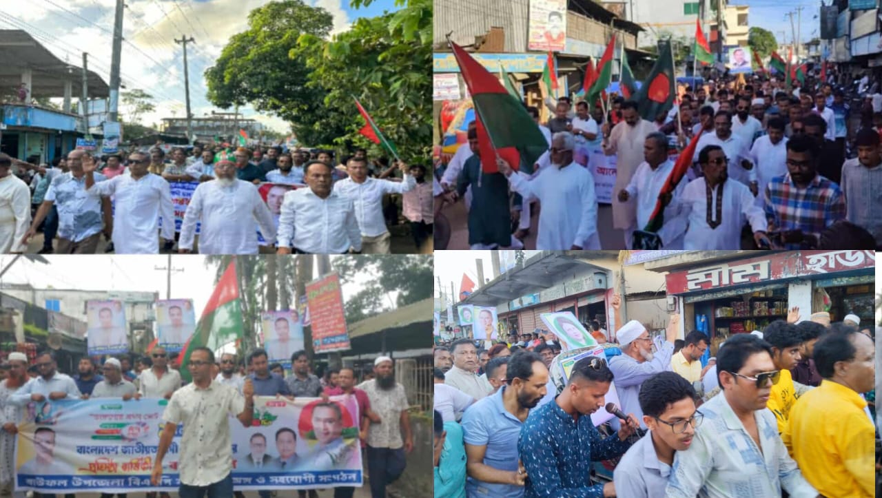 বাউফলে বিভক্তভাবে বিএনপির ৪৭তম প্রতিষ্ঠাবার্ষিকী পালন