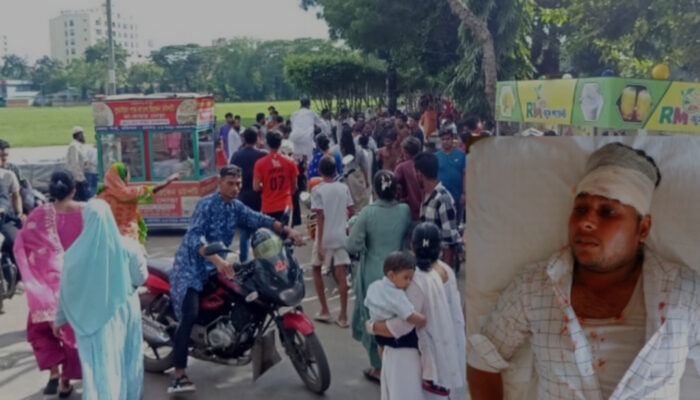 বাচ্চাকে পার্কে প্রবেশ নিয়ে তর্ক দুই সাংবাদিককে মারধর করেছে ছাত্রদল নেতারা