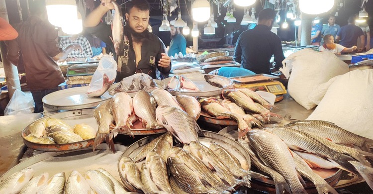 বরিশালে মাছের দামে আগুন