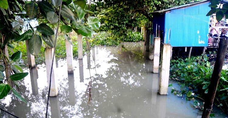 অপরিকল্পিত কালভার্টে অনাবাদি ৫০০ একর জমি