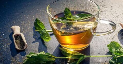 খালি পেটে গ্রিন টি খাওয়া কি ঠিক?