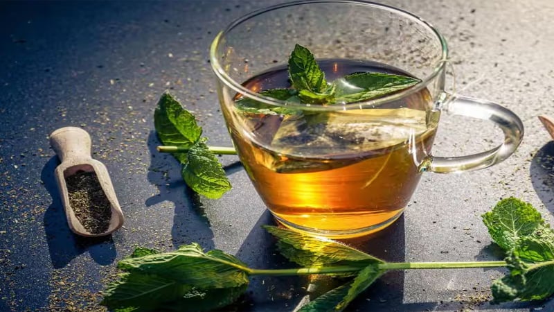 খালি পেটে গ্রিন টি খাওয়া কি ঠিক?