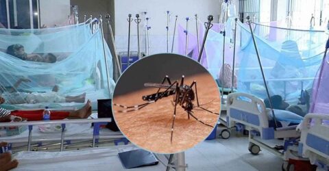 ডেঙ্গুতে আরও ৫ মৃত্যু ,সেপ্টেম্বরে সর্বোচ্চ মৃত্যু ও ভর্তি