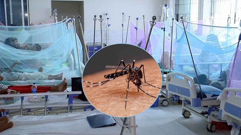 ডেঙ্গুতে আরও ৫ মৃত্যু ,সেপ্টেম্বরে সর্বোচ্চ মৃত্যু ও ভর্তি