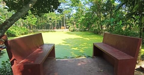 বাউফলে পাকা ঘাট বরাদ্দ নিয়ে বিরোধ, উত্তেজনা