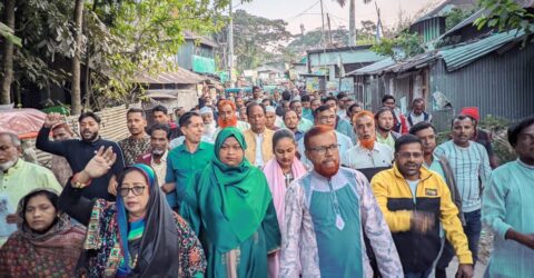 বাউফলে বিএনপির ৩১ দফার লিফলেট বিতরণ ও পথসভা অনুষ্ঠিত