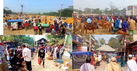 বাউফলের ঐতিহ্যবাহী কালাইয়ার হাট: দক্ষিণবঙ্গের বৃহত্তম সাপ্তাহিক বাজার