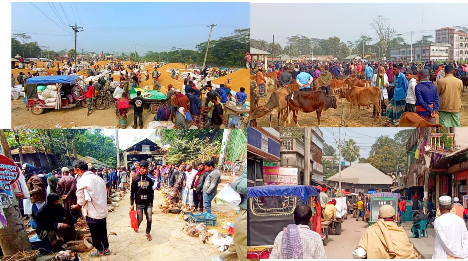 বাউফলের ঐতিহ্যবাহী কালাইয়ার হাট: দক্ষিণবঙ্গের বৃহত্তম সাপ্তাহিক বাজার